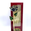 24K Gold Dipped Rose- Onyx